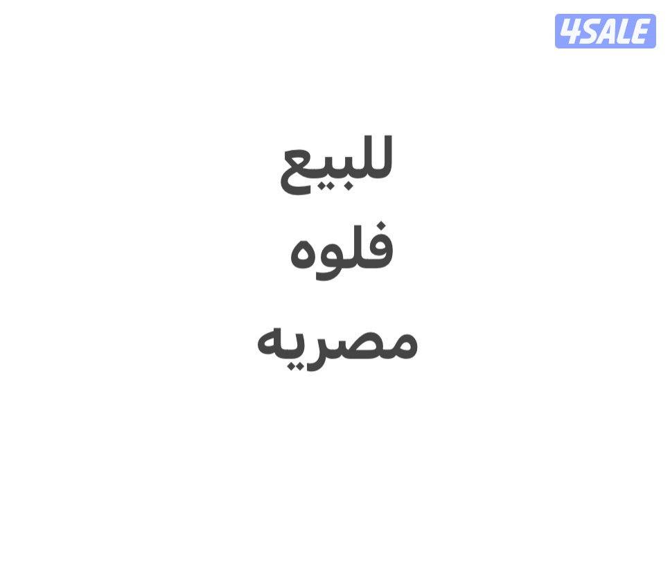 للبيع فلوه مصريه العمر سنتين0