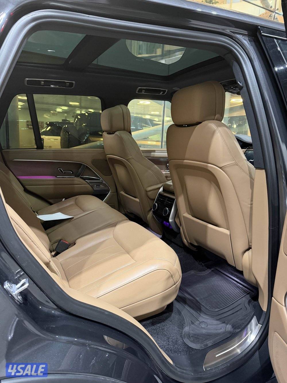 CARPATHIAN GRAY 202312