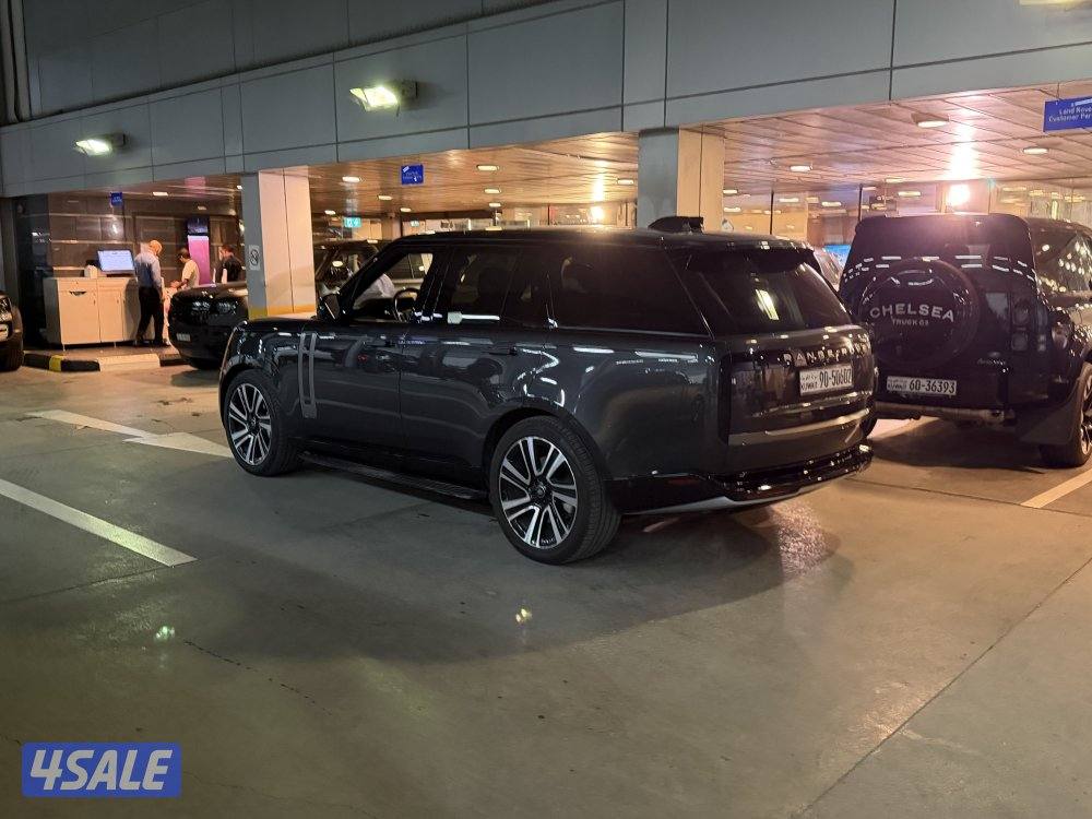 CARPATHIAN GRAY 202310