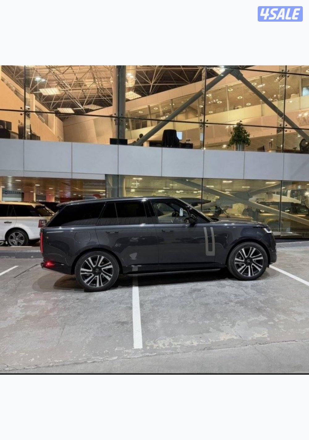 CARPATHIAN GRAY 20232