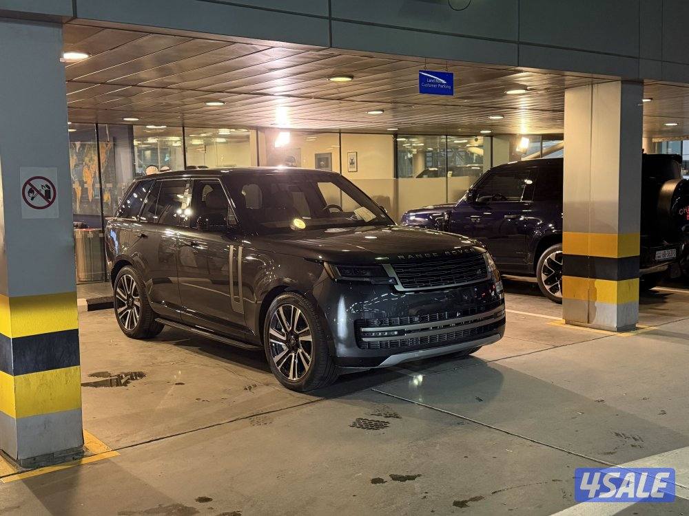 CARPATHIAN GRAY 202314