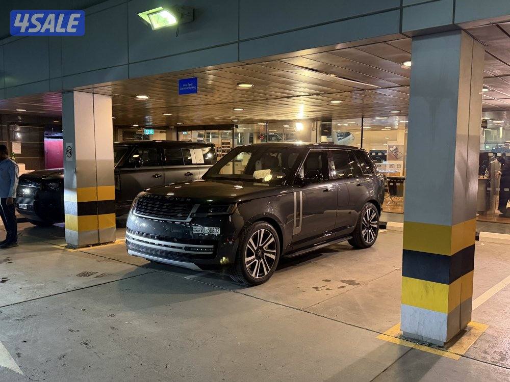 CARPATHIAN GRAY 202315