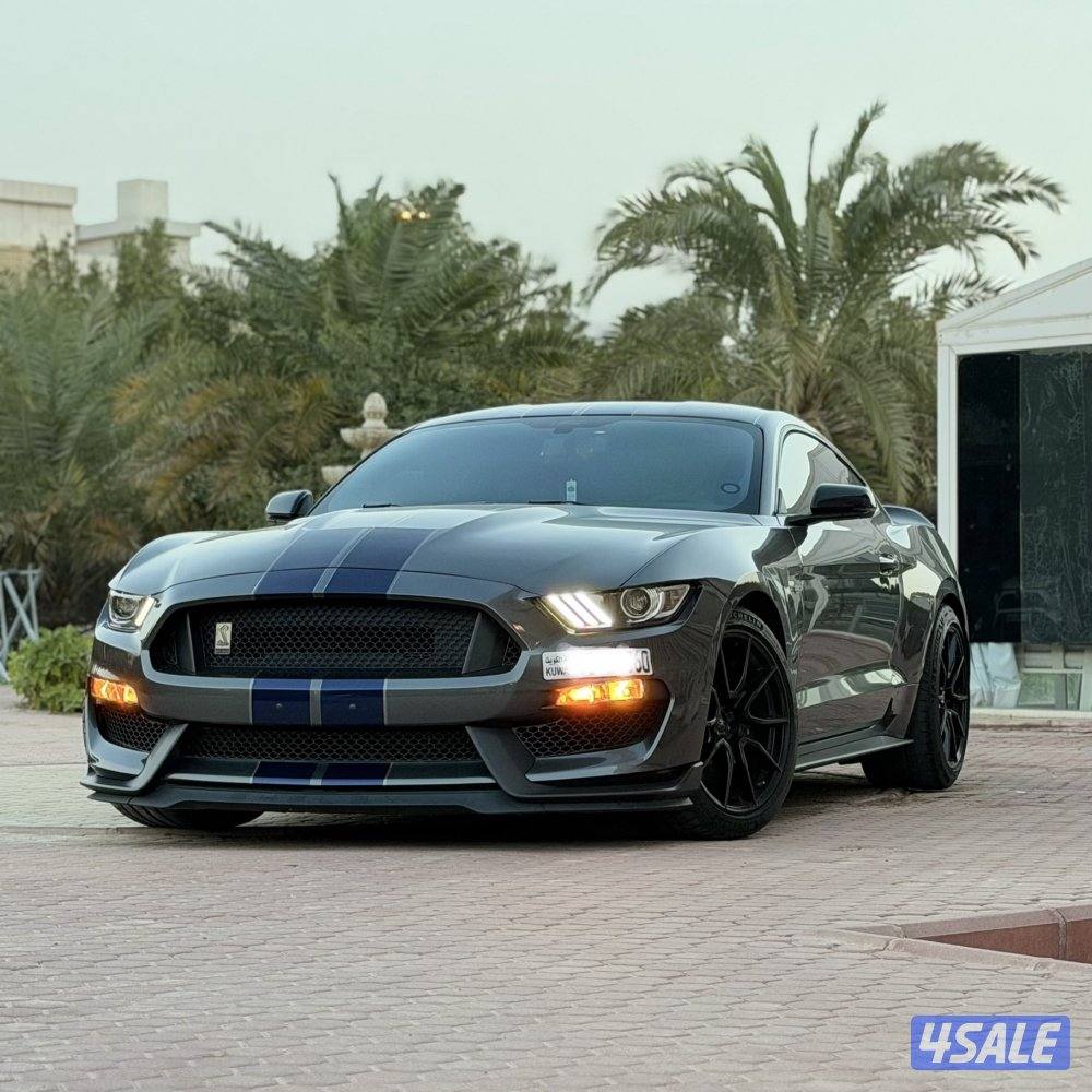 GT350 shelby0