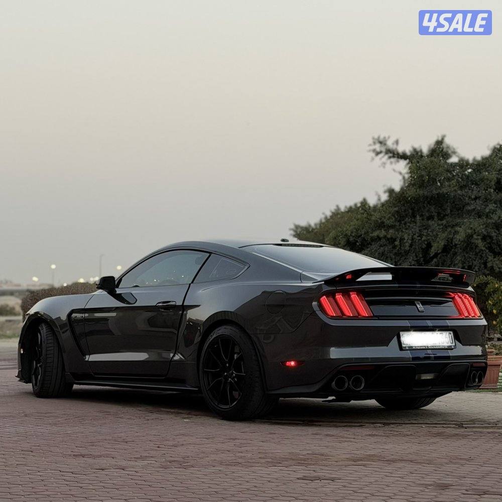 GT350 shelby1