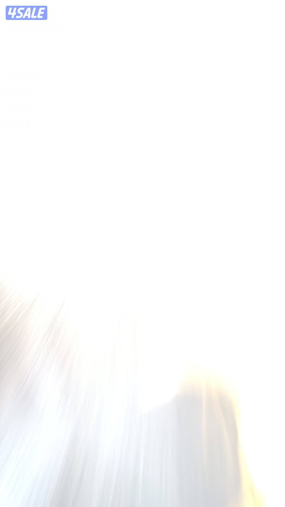 للبيع مخيم كامل0