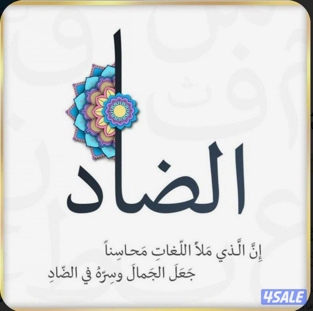 لغتنا العربية من منظور سهل وبسيط0