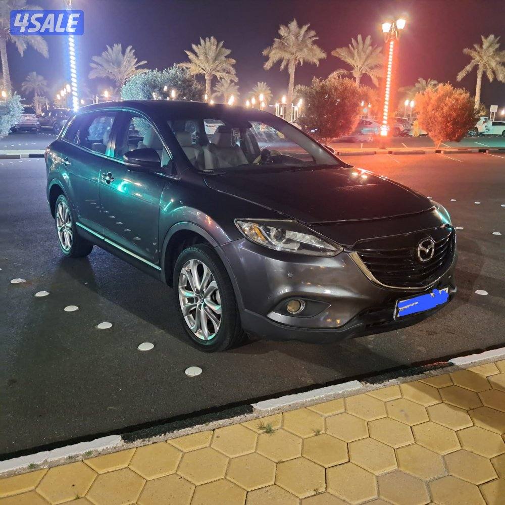 Mazda CX9 7 Seater 2013  Excellent Condition13