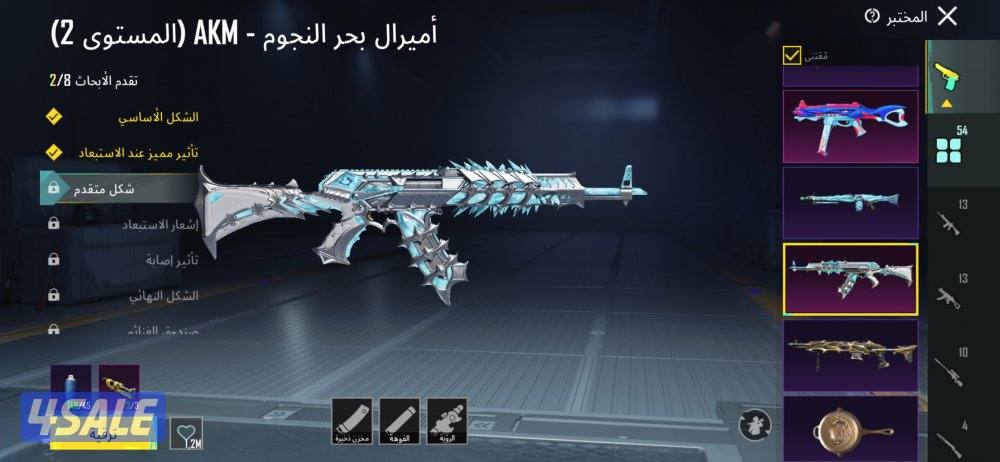 بيع حساب بابجي العالميه12