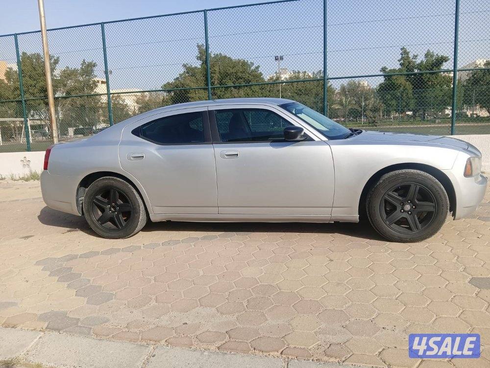 دوج تجارجر ٢٠١٠0