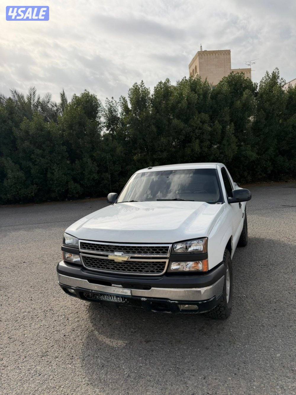 للبيع مخصر 20030