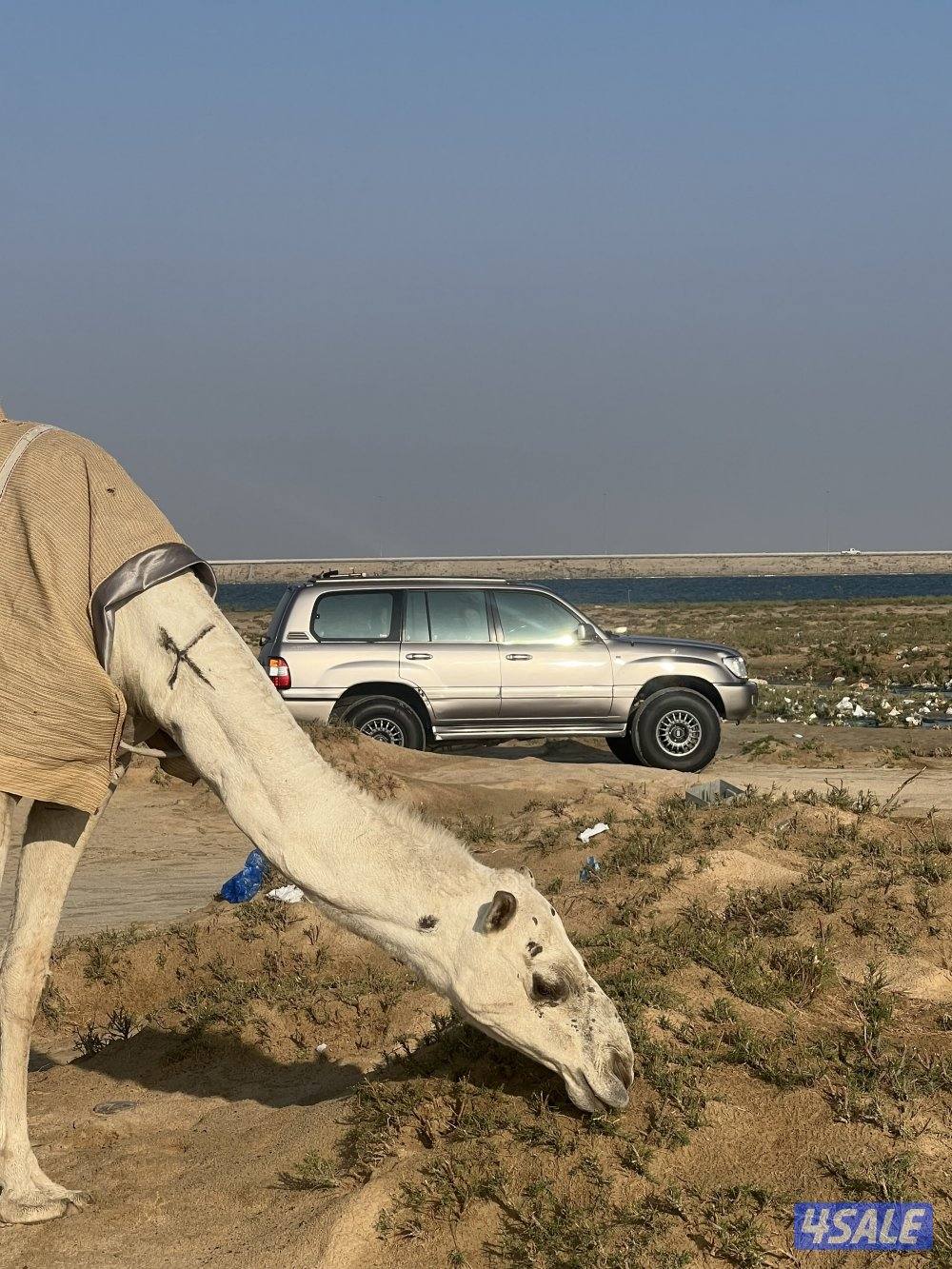 لاند كروزر13