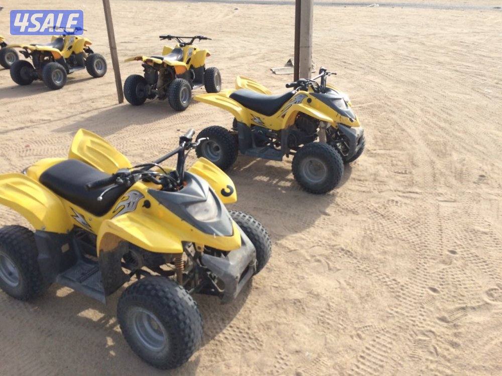 للإيجار بقيات العميري1