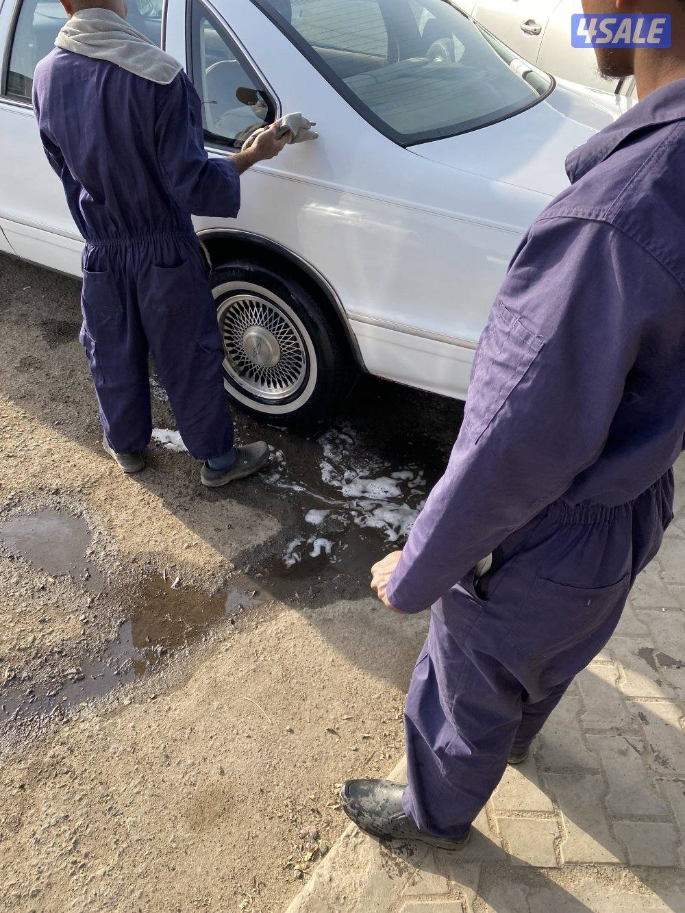 شفر شفروليه كابرس 19954