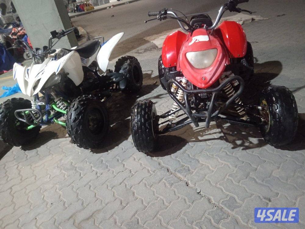 شغالين ممتازين3