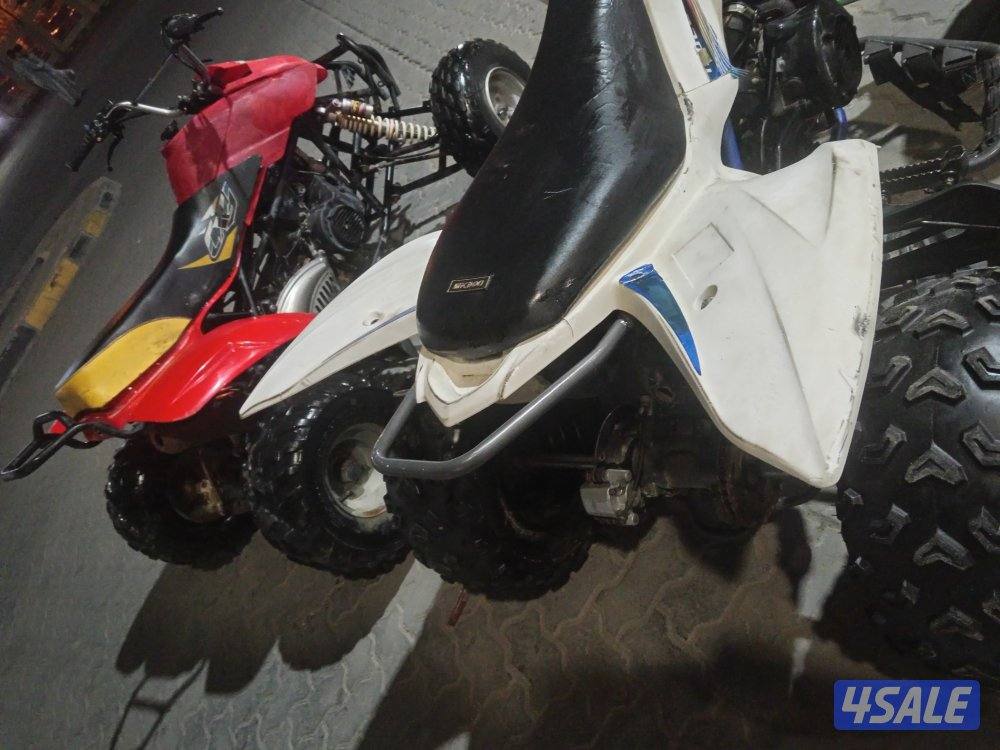 شغالين ممتازين5