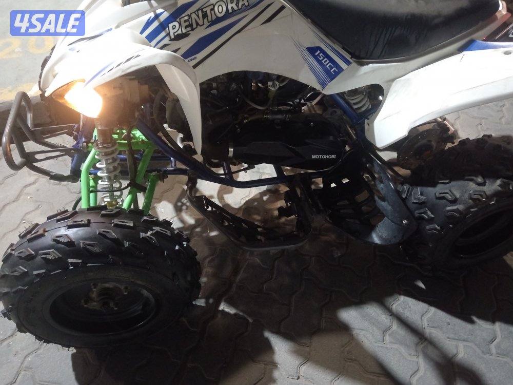 شغالين ممتازين9