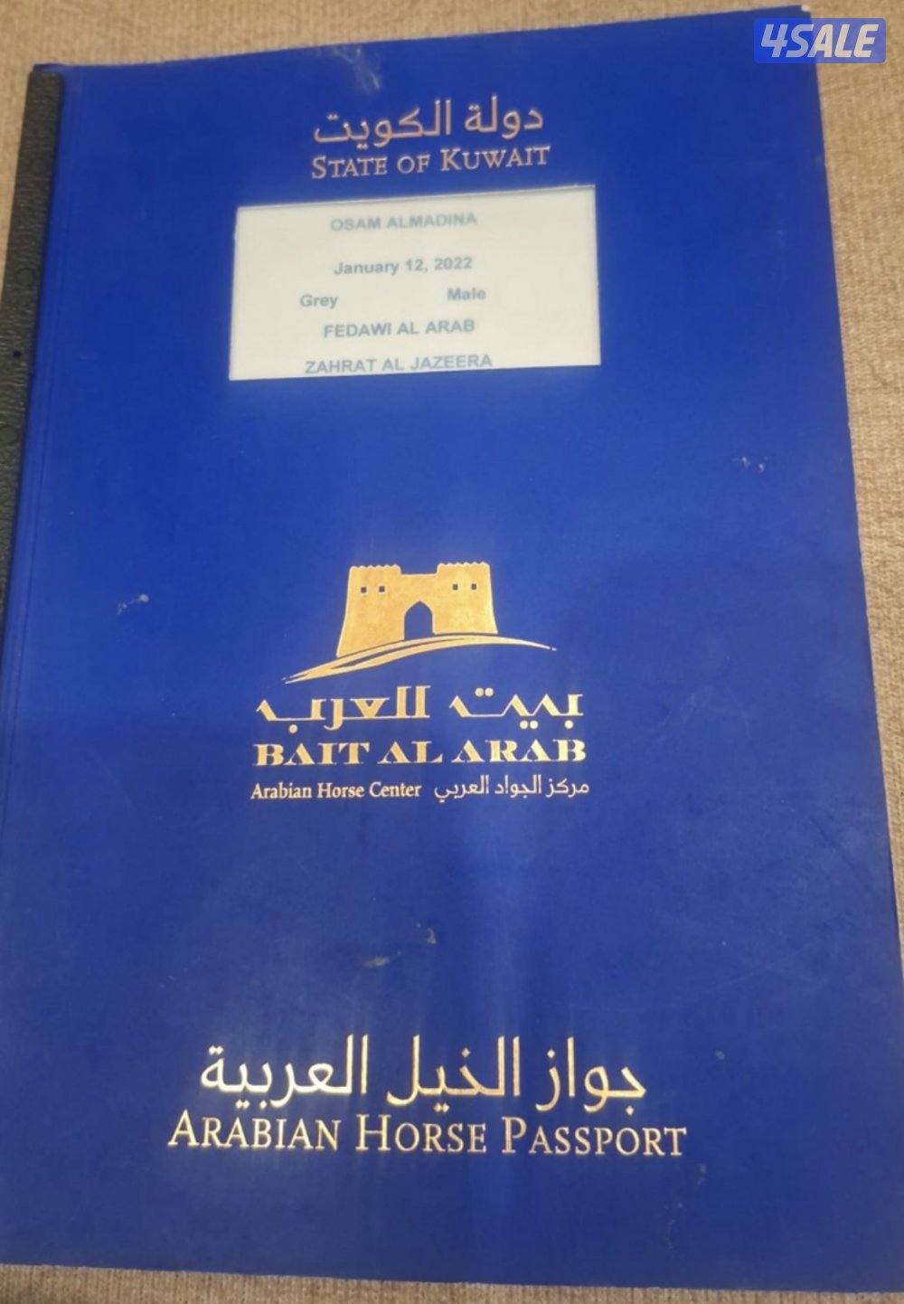 للبيع حصان 🐎3