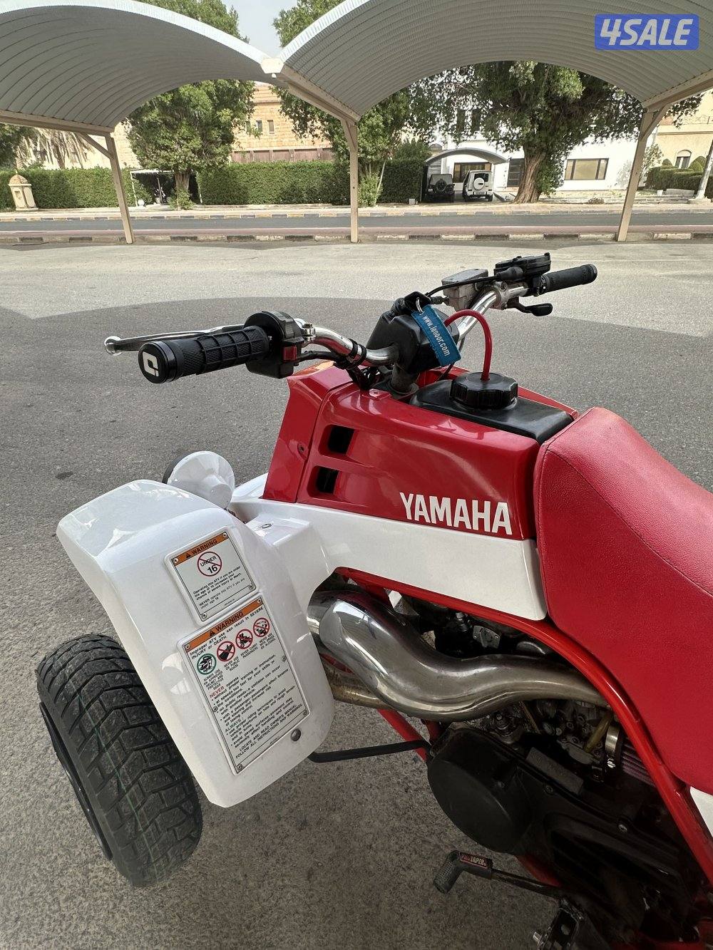 بانشي نظيف جداً2