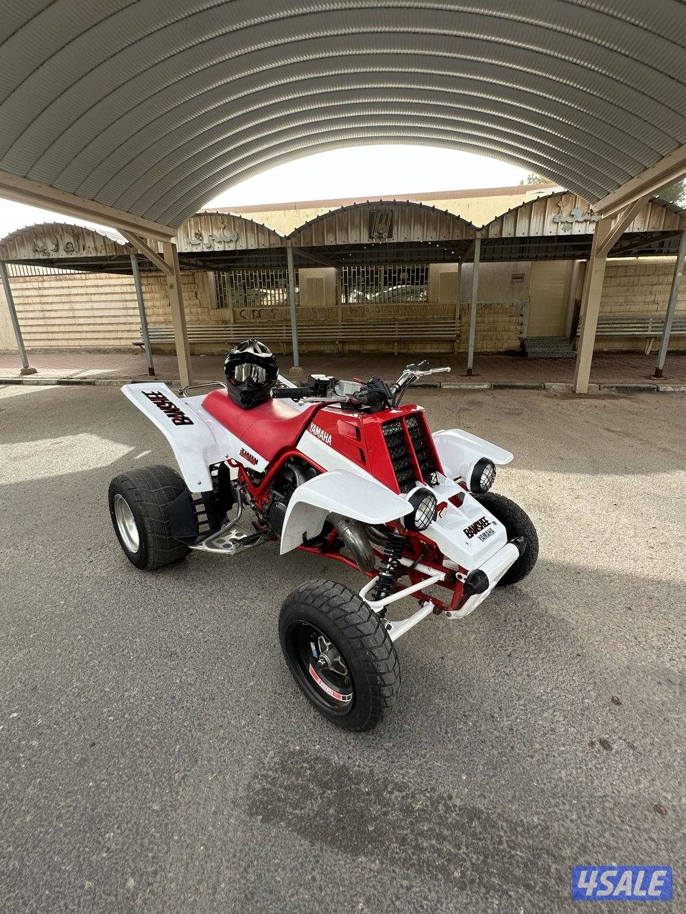 بانشي نظيف جداً3