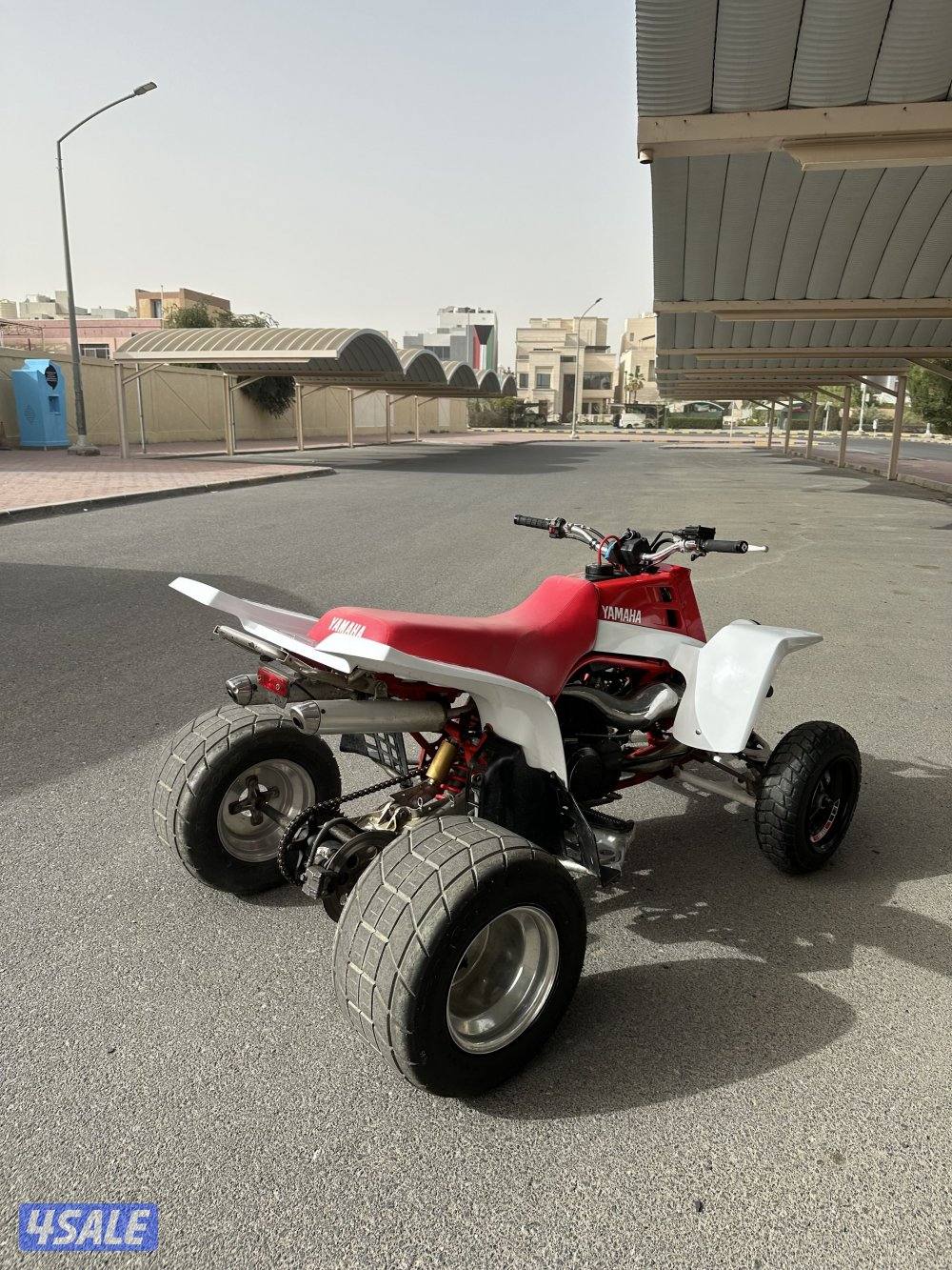 بانشي نظيف جداً6