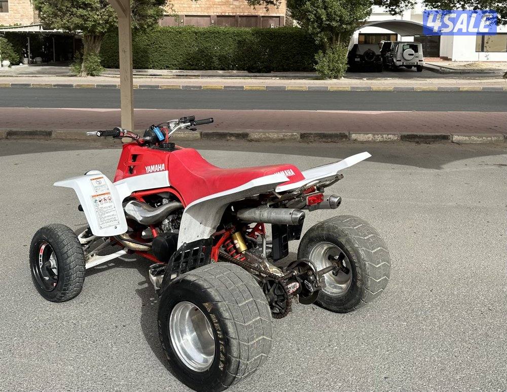 بانشي نظيف جداً8