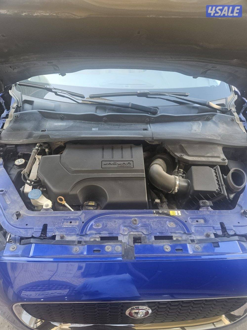 جكوار مميز بسعرر ممتاز12