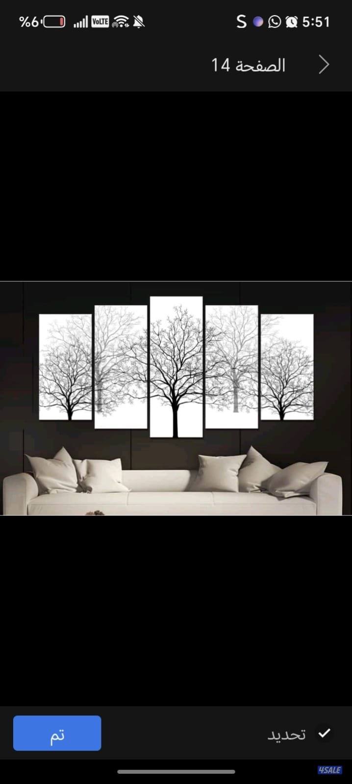 الكويت المباركية8