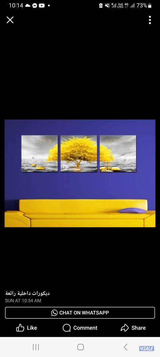 الكويت المباركية10