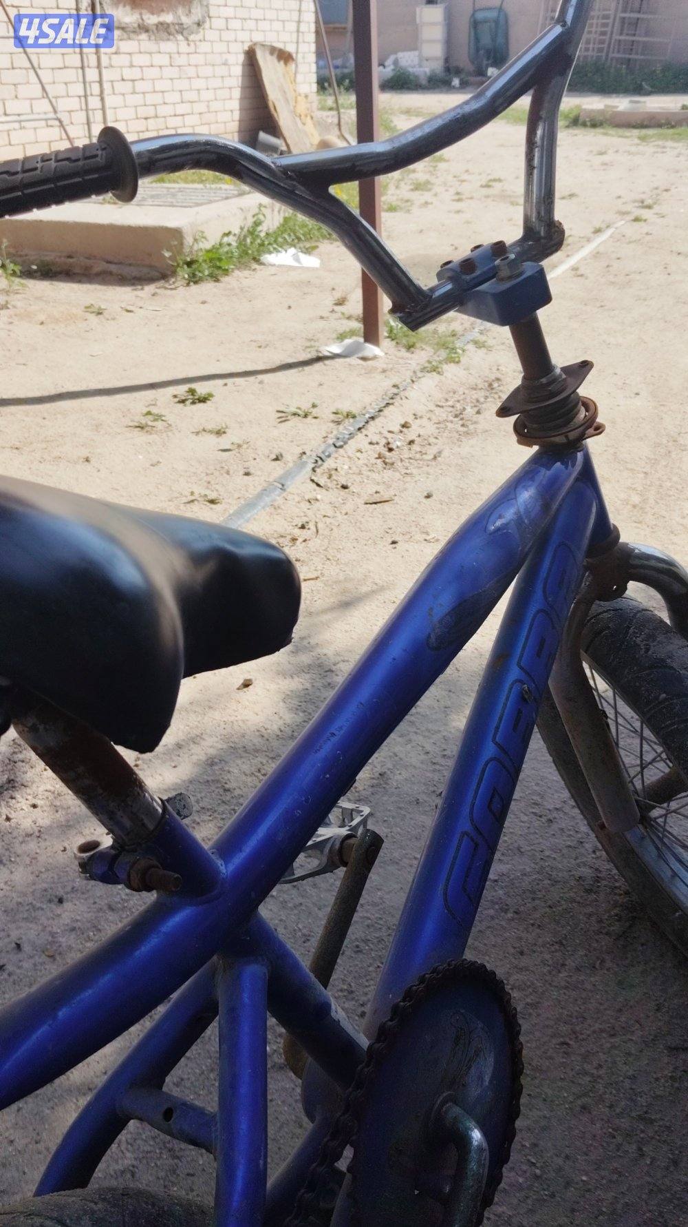 سيكل كوبرا نضيف0