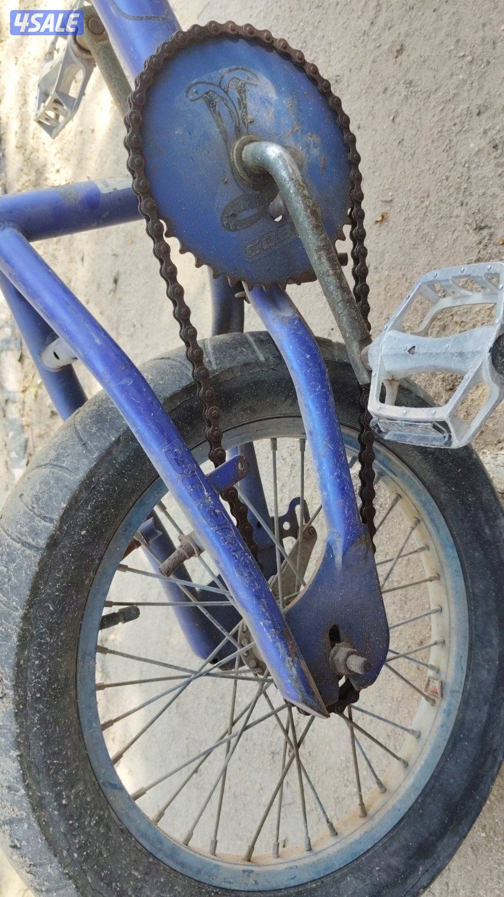 سيكل كوبرا نضيف1