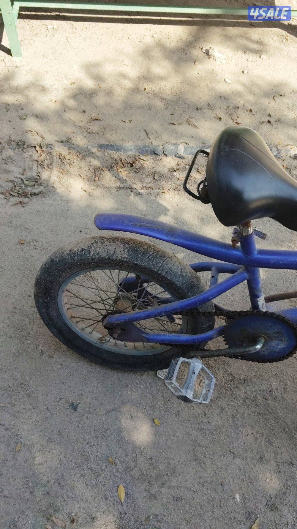 سيكل كوبرا نضيف2