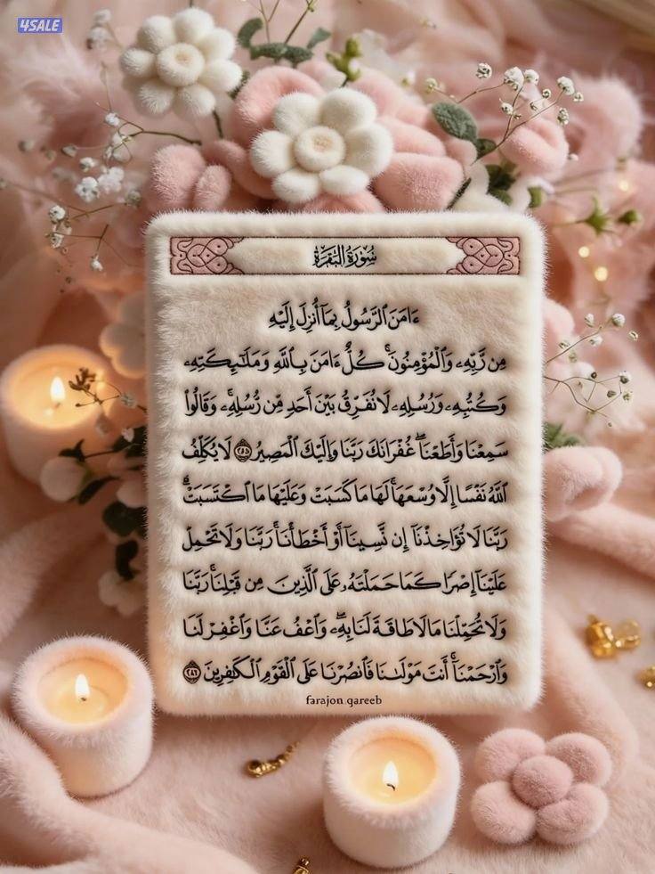 معلمة تأسيس ومنهج لجميع المراحل التعليمية حضوري الذهاب الى المنزل1