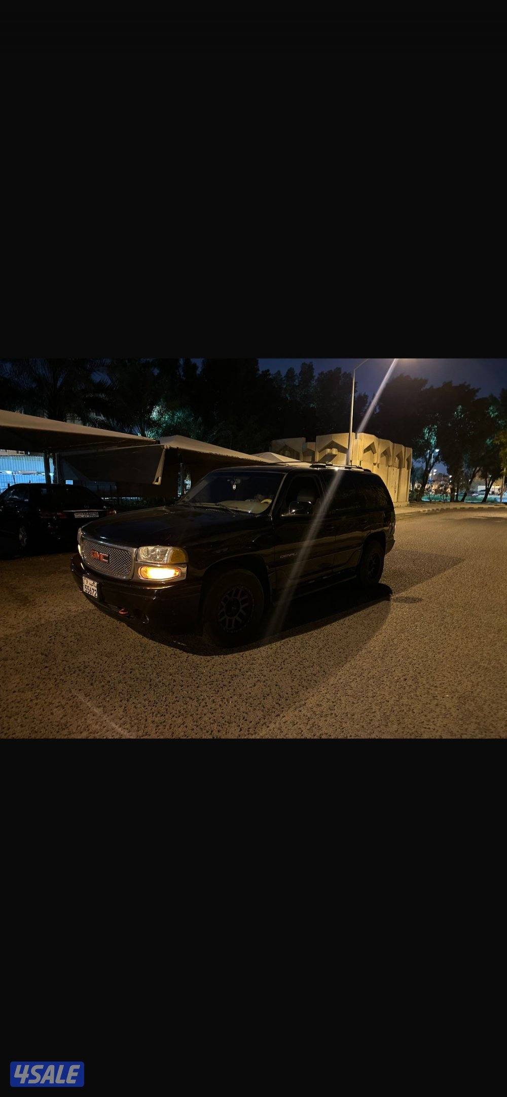 للبيه دينالي2