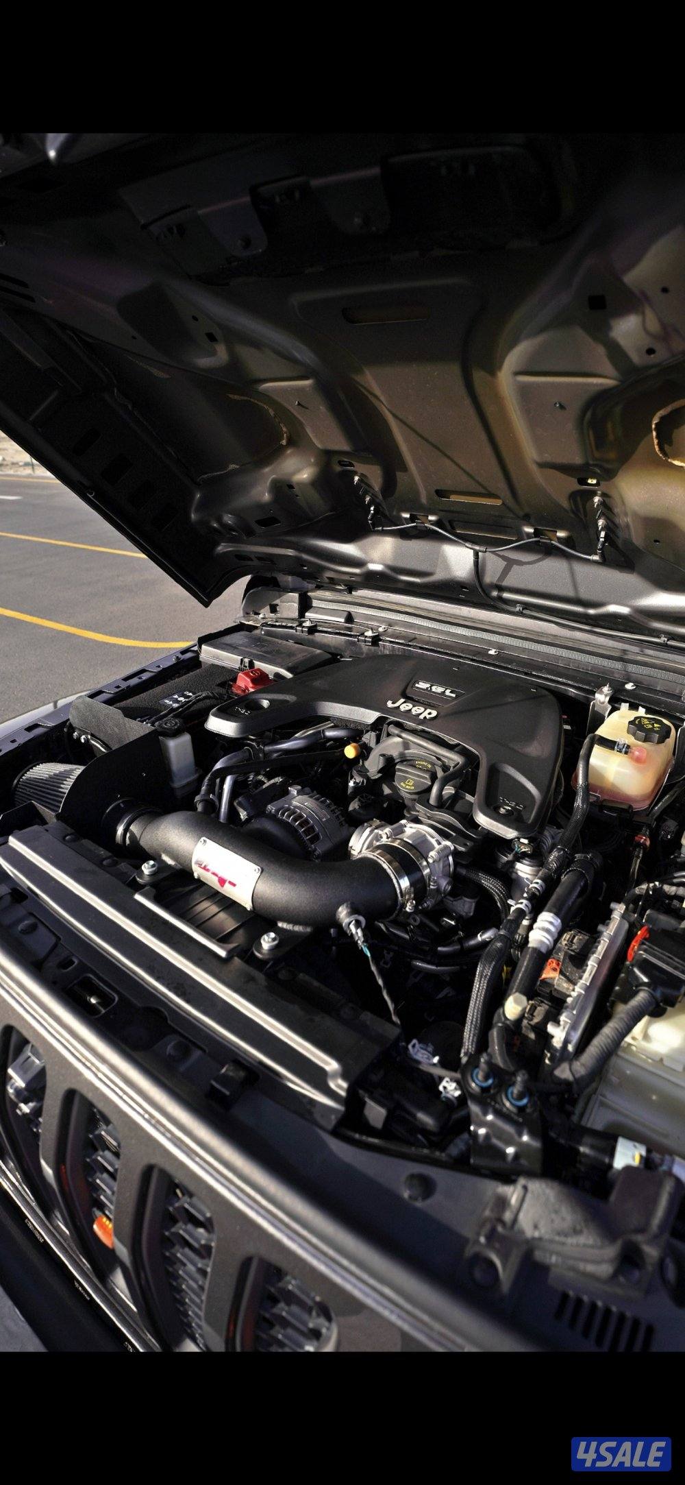 قلاديوتر ساند رانر 50 حبه فقط في الخليج موديل 202110