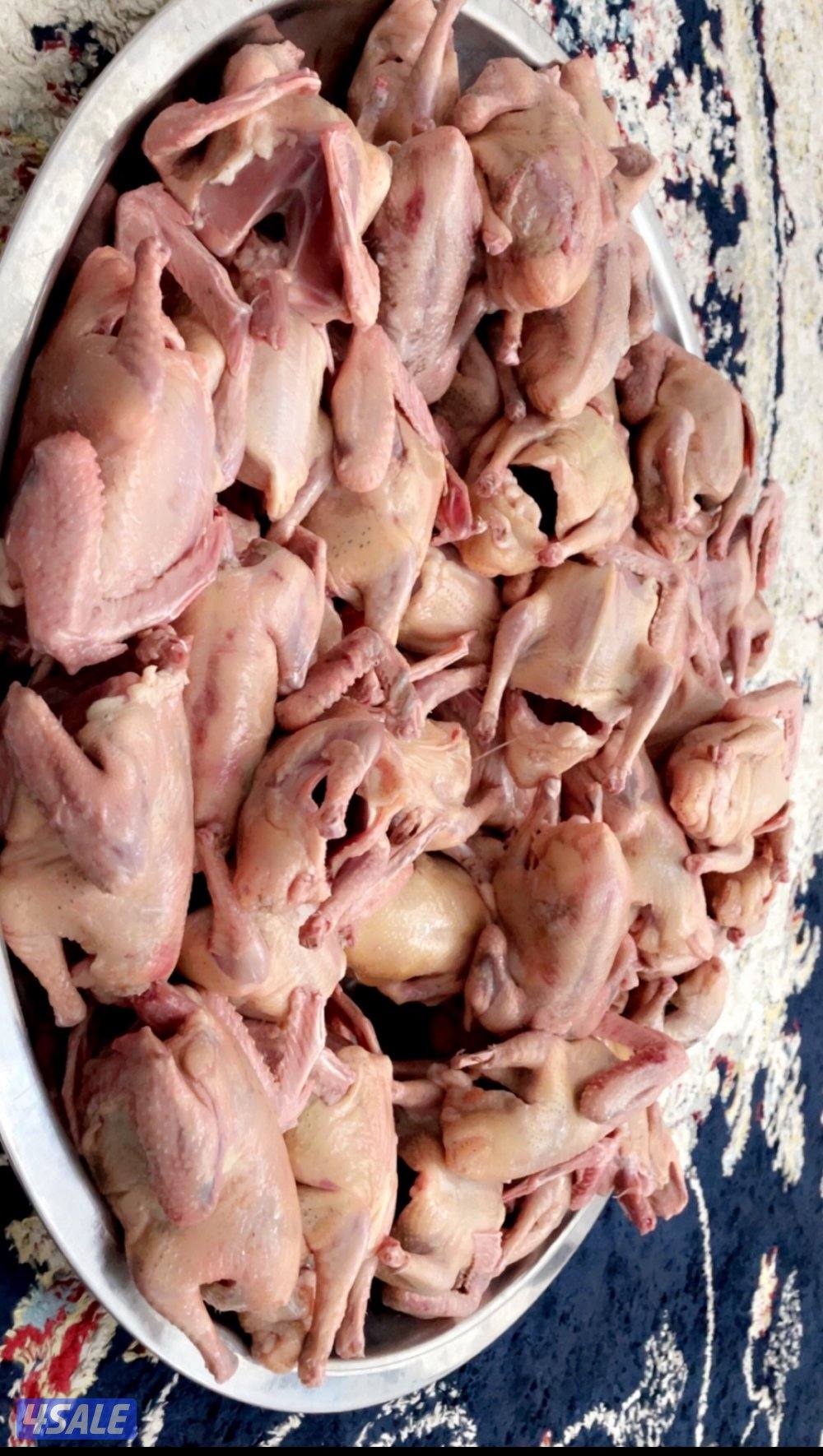 شرط الشحم والطعم وشي فاخر0