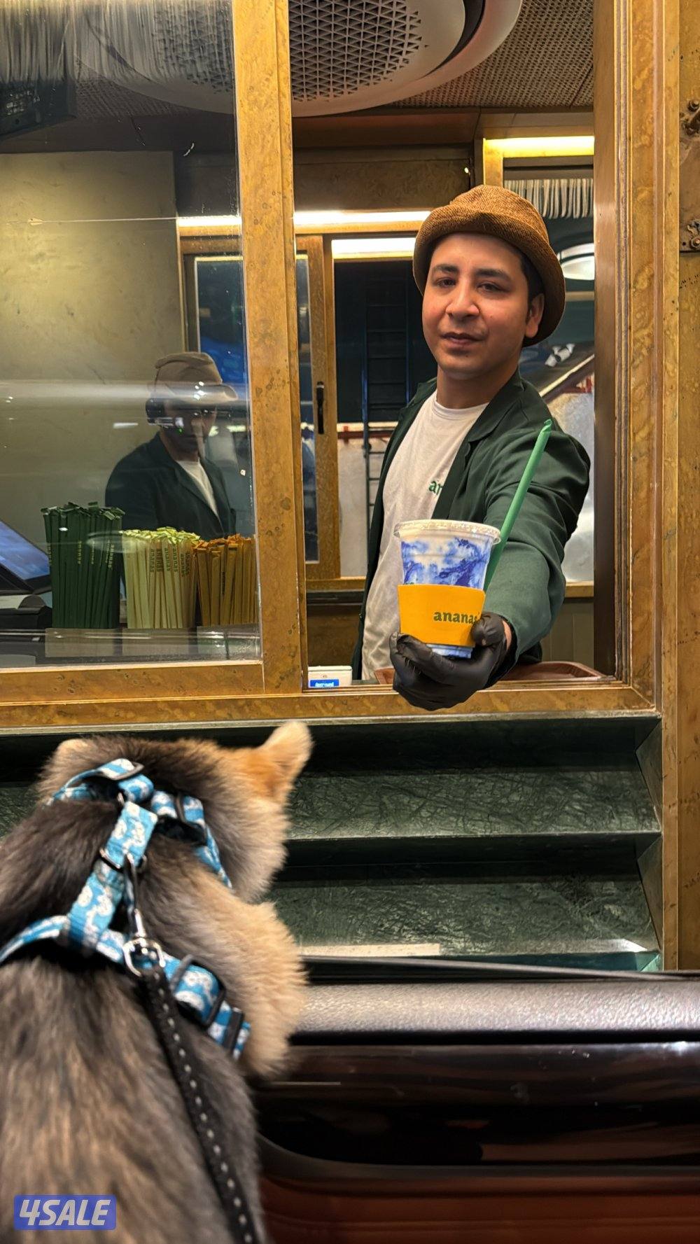 جلب يورك شير ذكر5