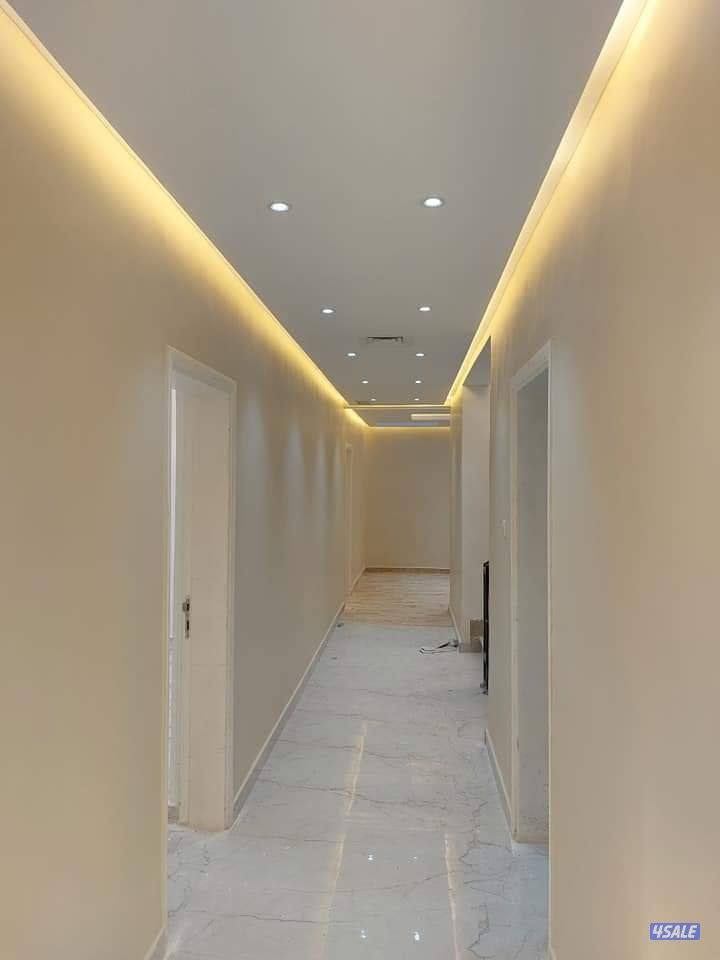 صباغ وديكور هندي3