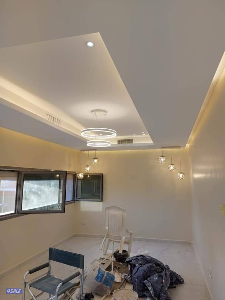 صباغ وديكور هندي5