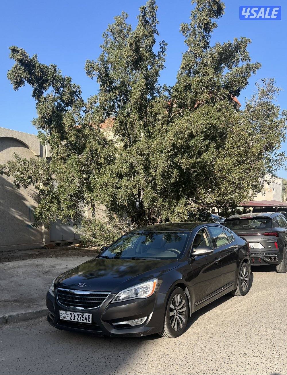 كيا كادينزا 20131