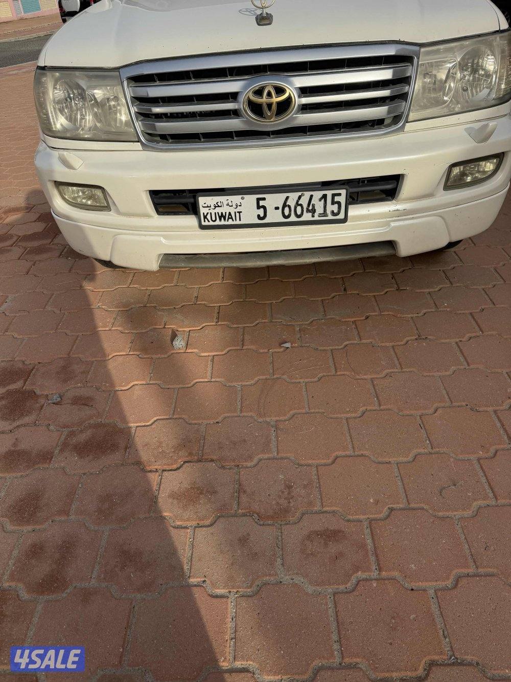 لاند ٢٠٠٧ صبغ الوكالة2