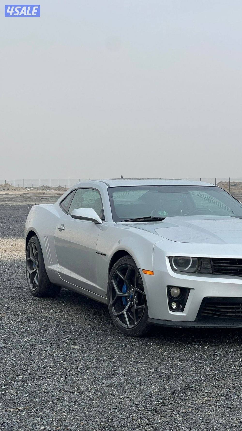 تماتيك٢٠١٠ SS21