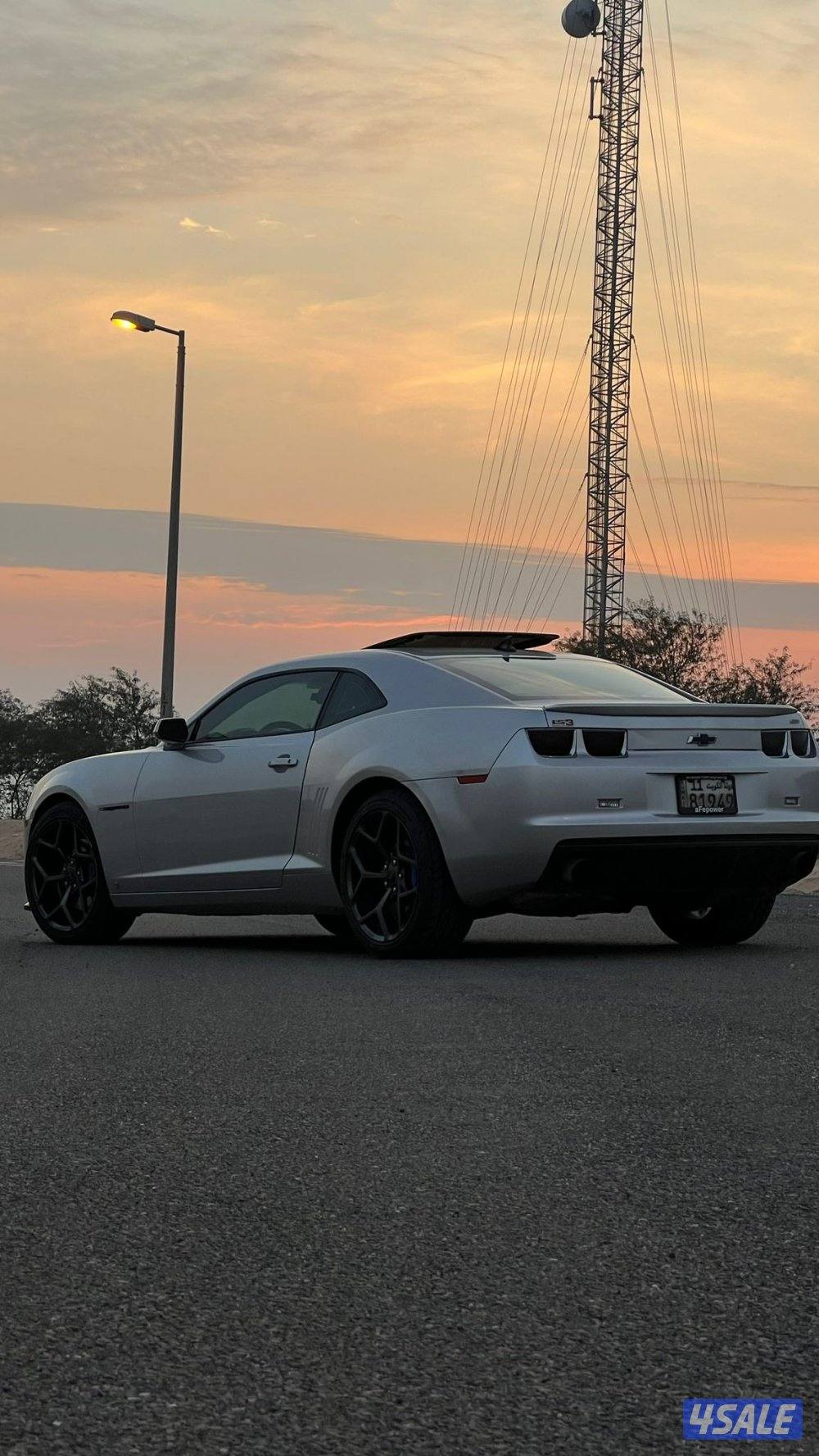 تماتيك٢٠١٠ SS22