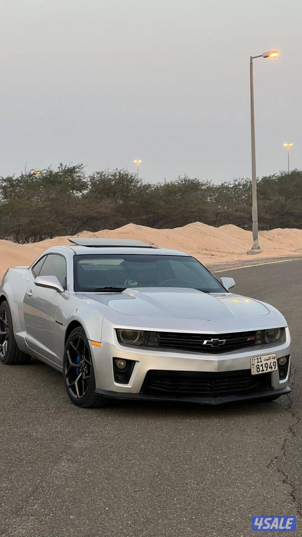 تماتيك٢٠١٠ SS23