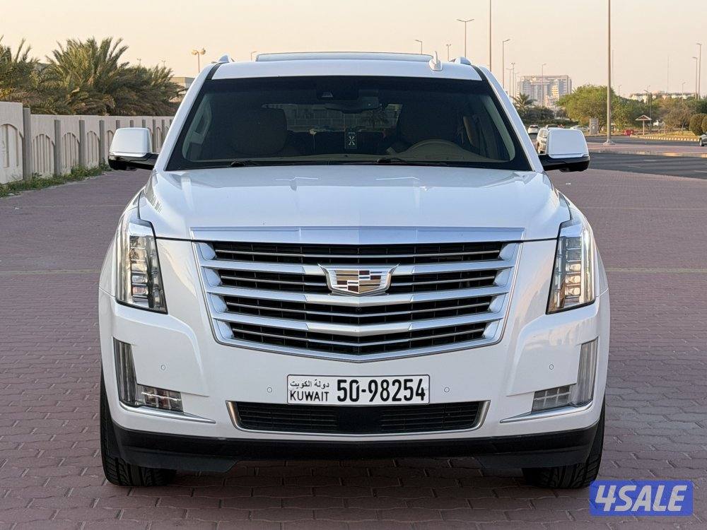 🔥بلاتنيوم صبغ وكالة🔥1