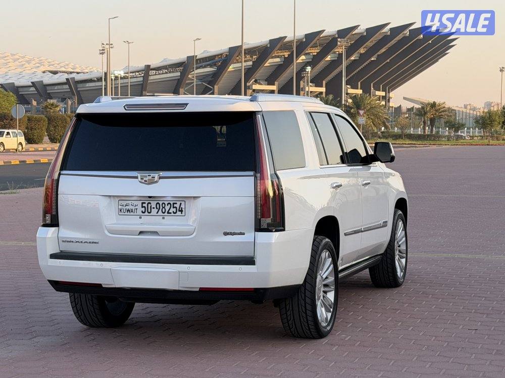 🔥بلاتنيوم صبغ وكالة🔥3