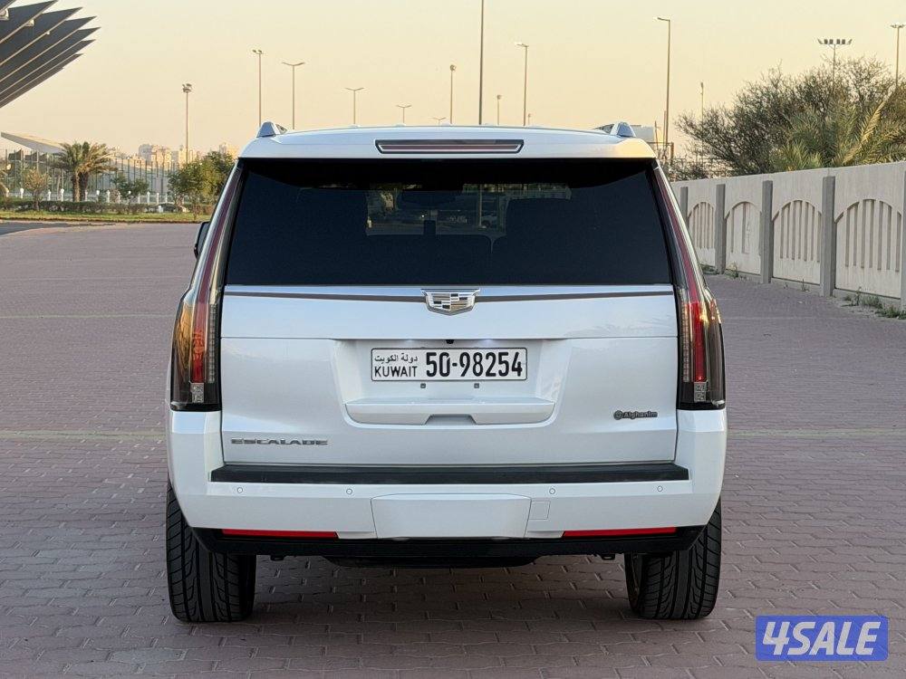 🔥بلاتنيوم صبغ وكالة🔥4