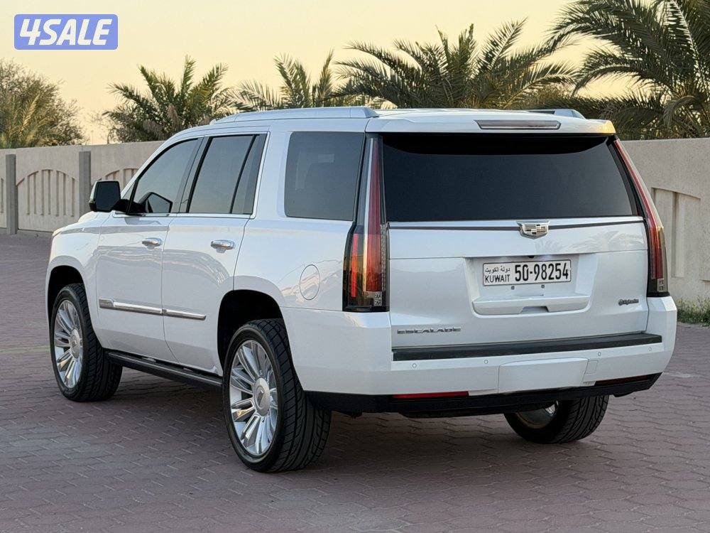 🔥بلاتنيوم صبغ وكالة🔥5