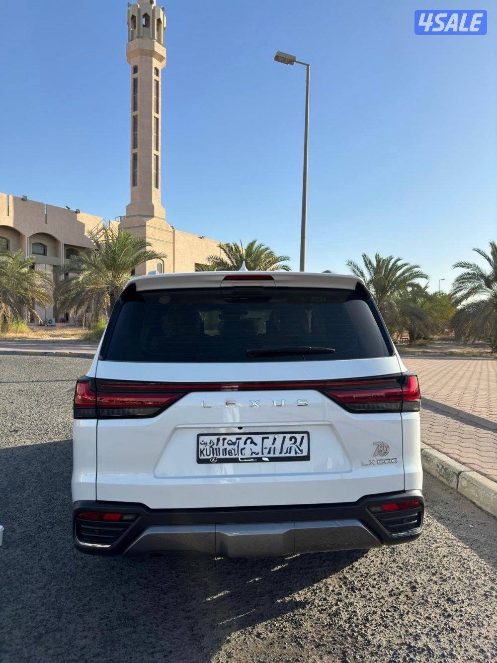 درجه اولى رنق 22 صبغ الوكاله4