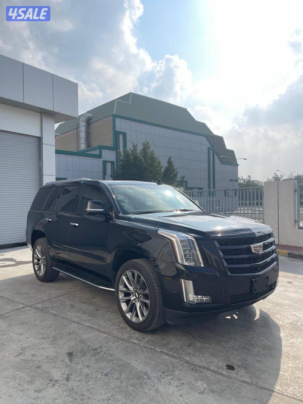 حولي شارع المعتصم  قرب عيادت الجمال1