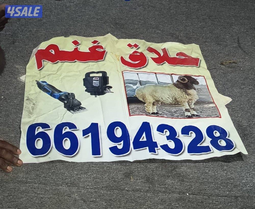 جزّ الأغنام

jz al'aghnam2